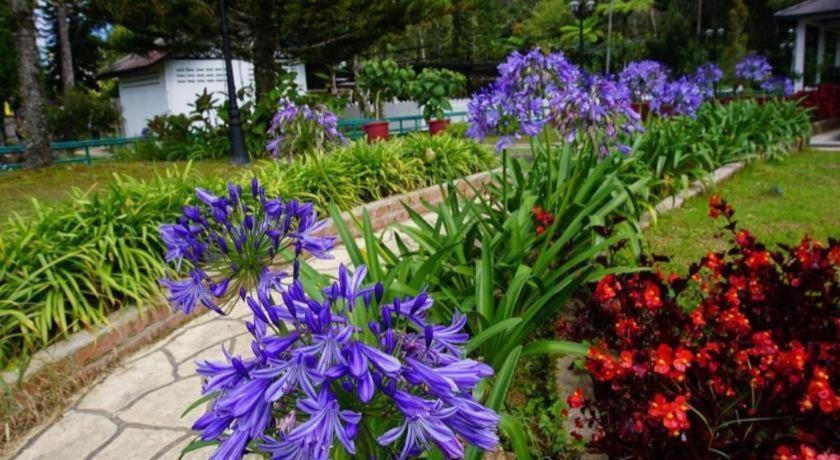Krs Pines Hotel Cameron Highlands Exterior foto